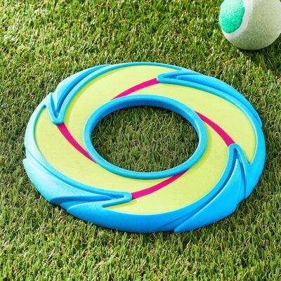 Neon Fetch and Play Buddy Dog Toy, Chew Level 2, 9